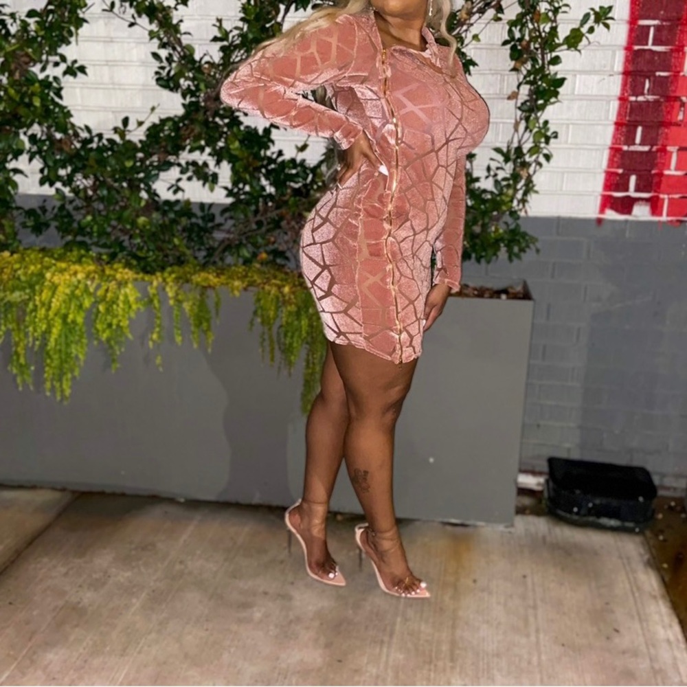 Posh By V Velvet Pink Long Sleeve Mini Dress Size Large ONLY WORN ONCE
